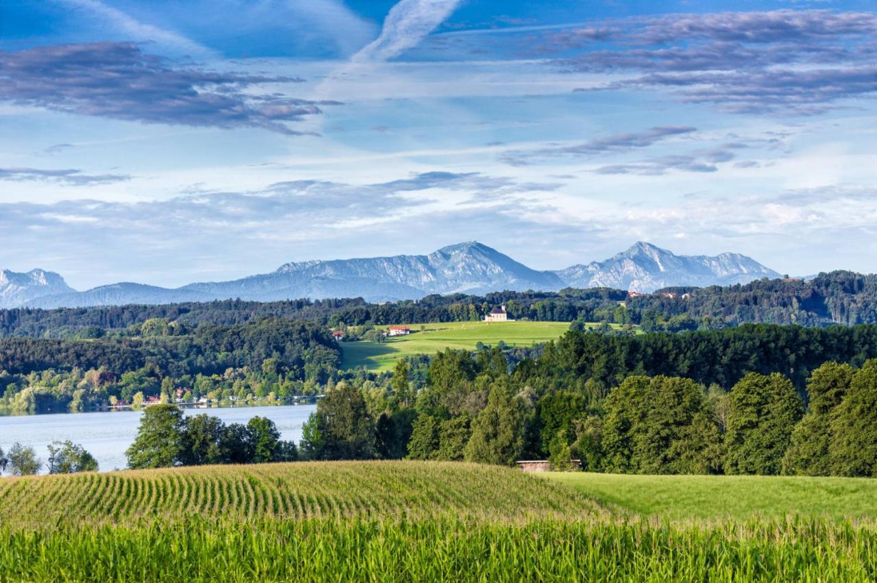 Landhaus Tanner Waging am See Exteriér fotografie